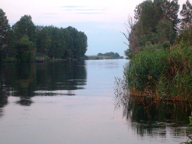 Doar ...  NATURA - sany0741.JPG